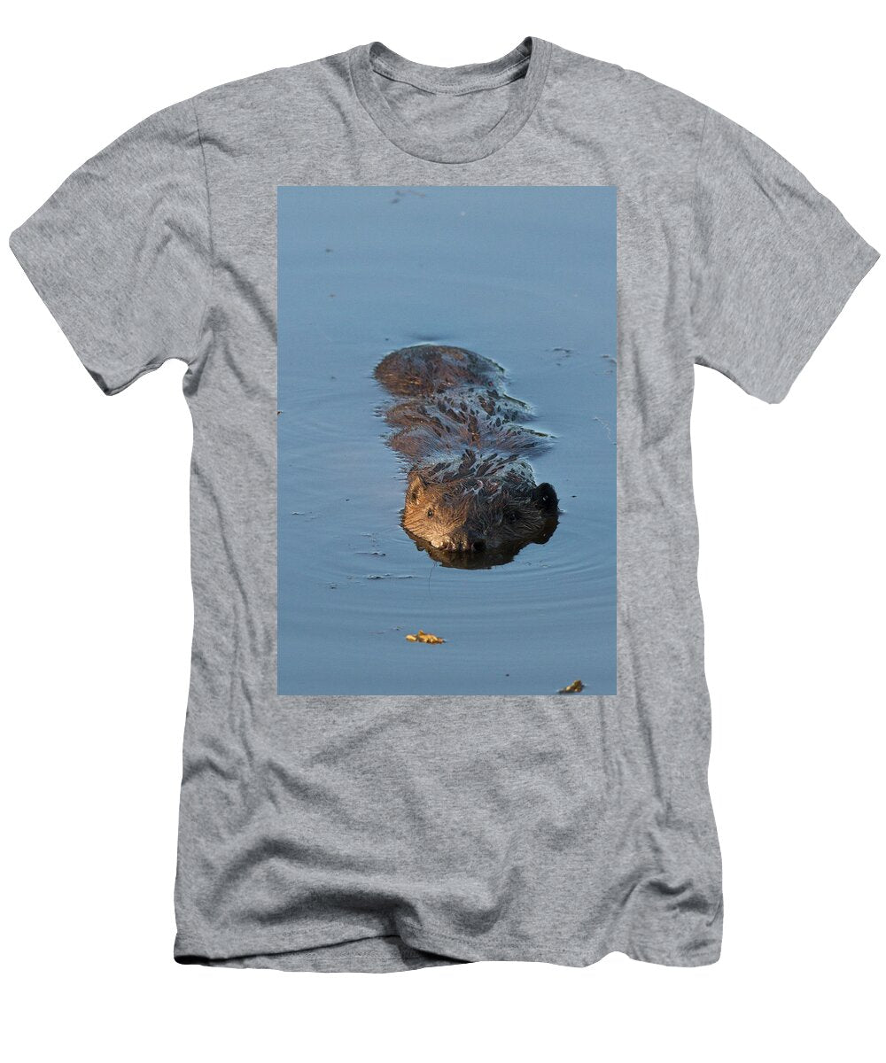 2 European Beaver Swimming in Wetland in Captive Breeding David Woodfall Natureplcom T-Shirt