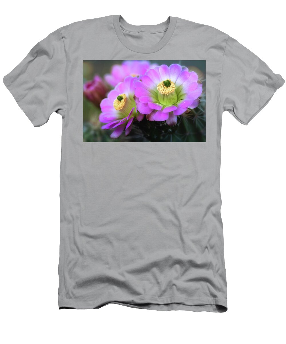 2 the Beauty of Pink Saija Lehtonen T-Shirt