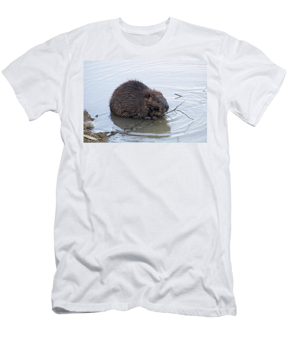 Beaver Chewing on Twig Chris Flees T-Shirt