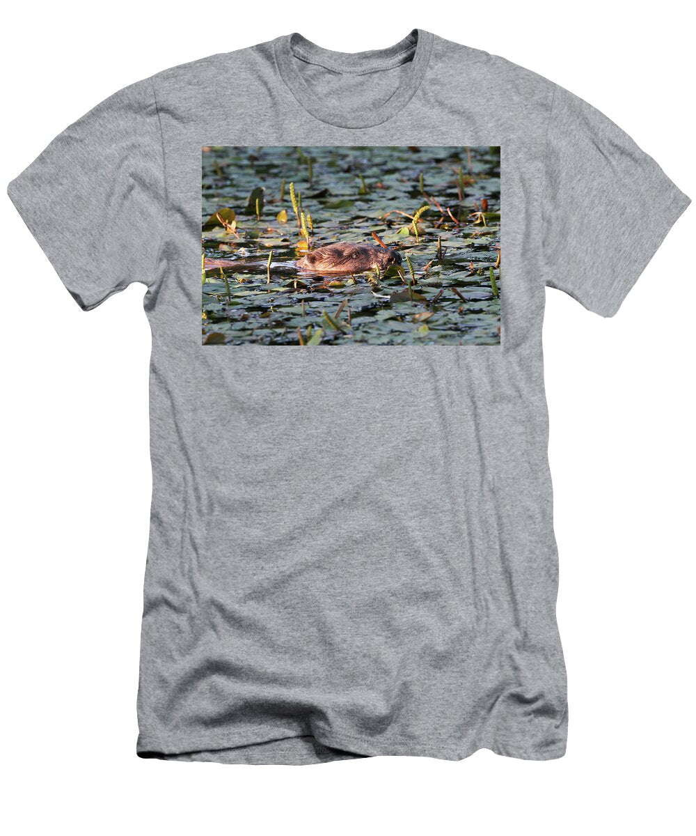 Beaver in Wetland Bevis Trust Camarthenshire Wales UK David Woodfall Natureplcom T-Shirt