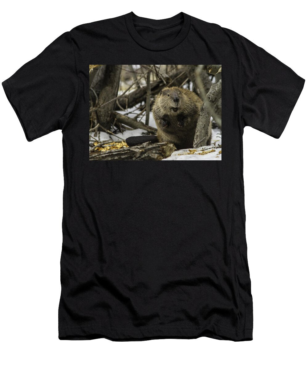 Beaver Mitch Shindelbower T-Shirt