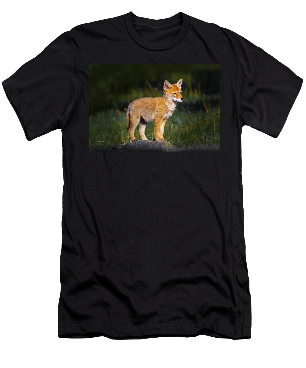Coyote Pup Fred J Lord T-Shirt
