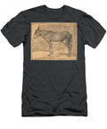 Donkey Pieter Van Laer T-Shirt