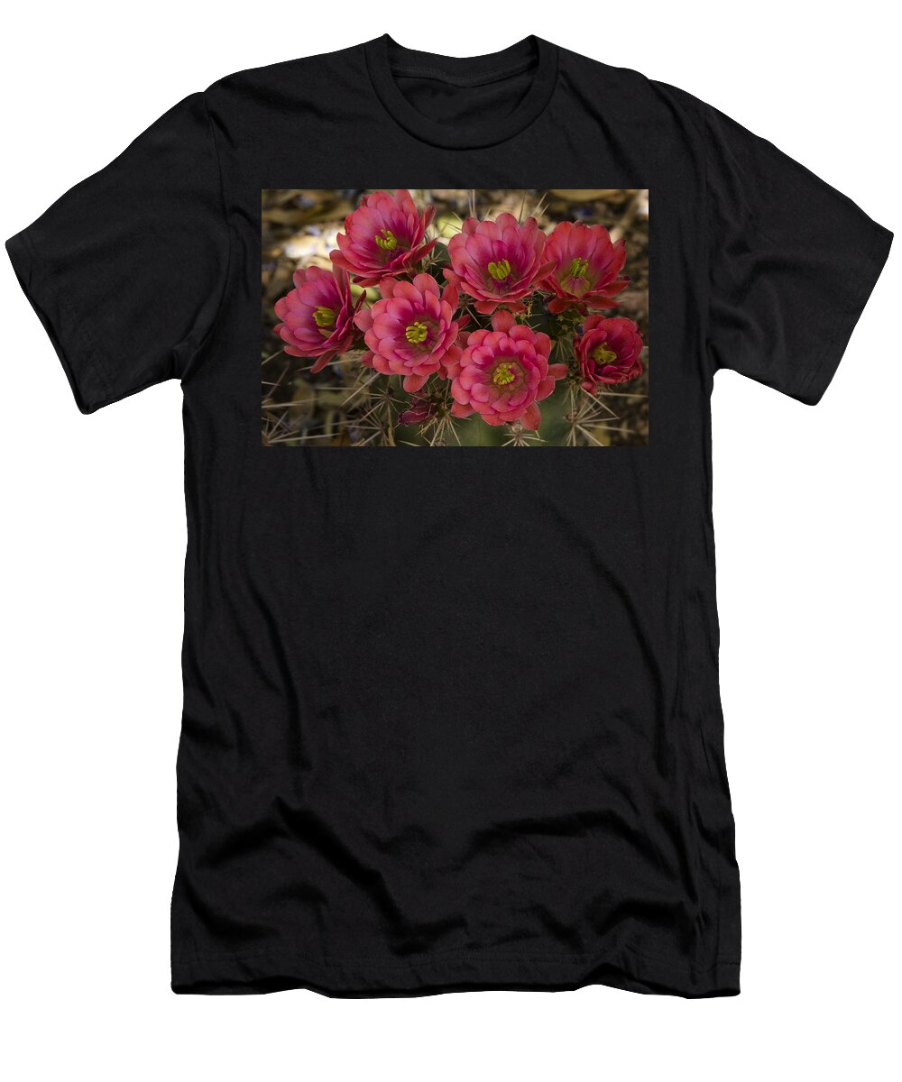 Pink Hedgehog Cactus Flowers Saija Lehtonen T-Shirt