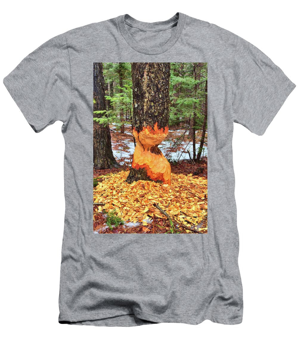 Saco Beaver Bites Catherine Reusch Daley T-Shirt