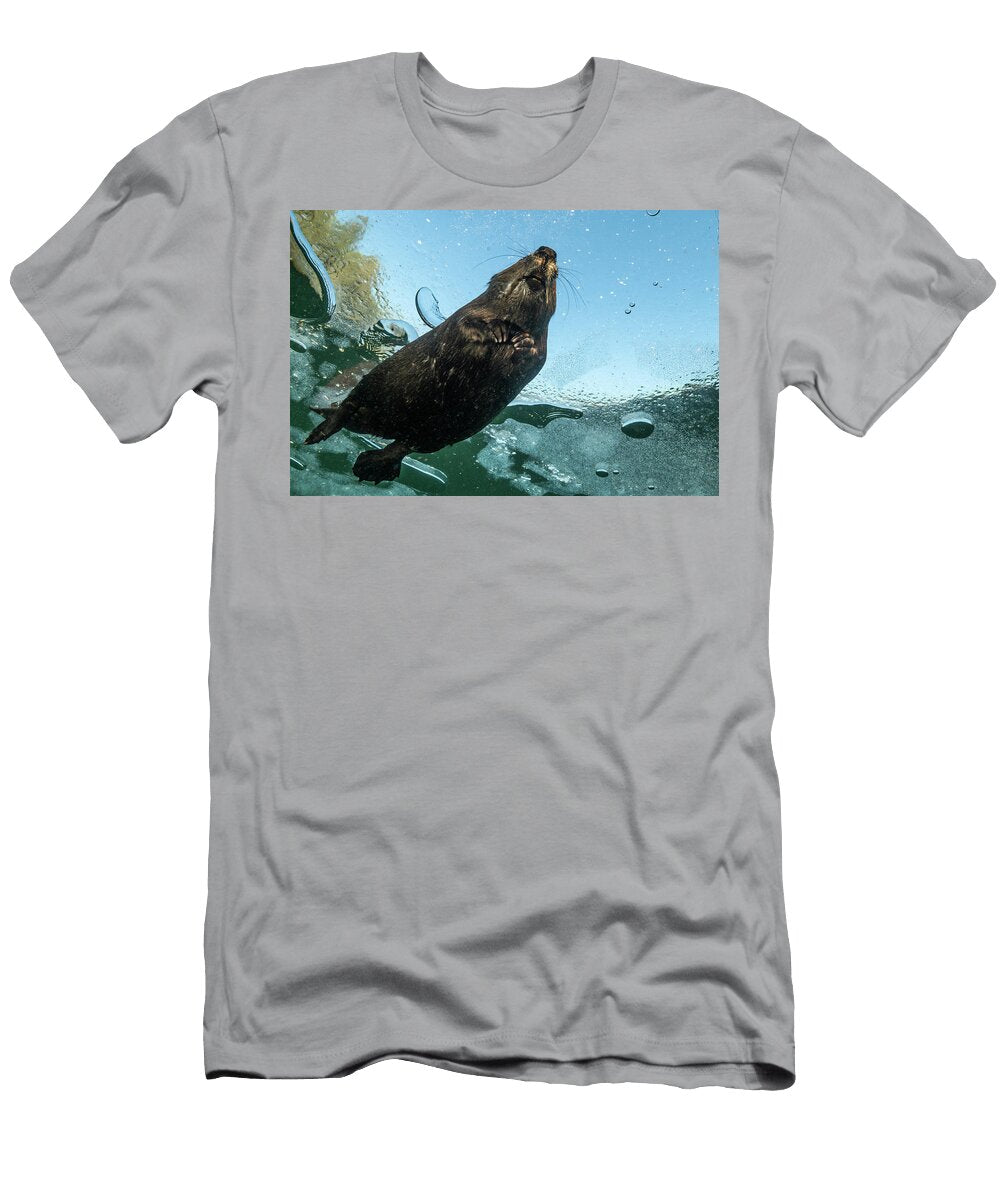 Underneath View of a North American Beaver Swimming Under Nick Hawkins Natureplcom T-Shirt