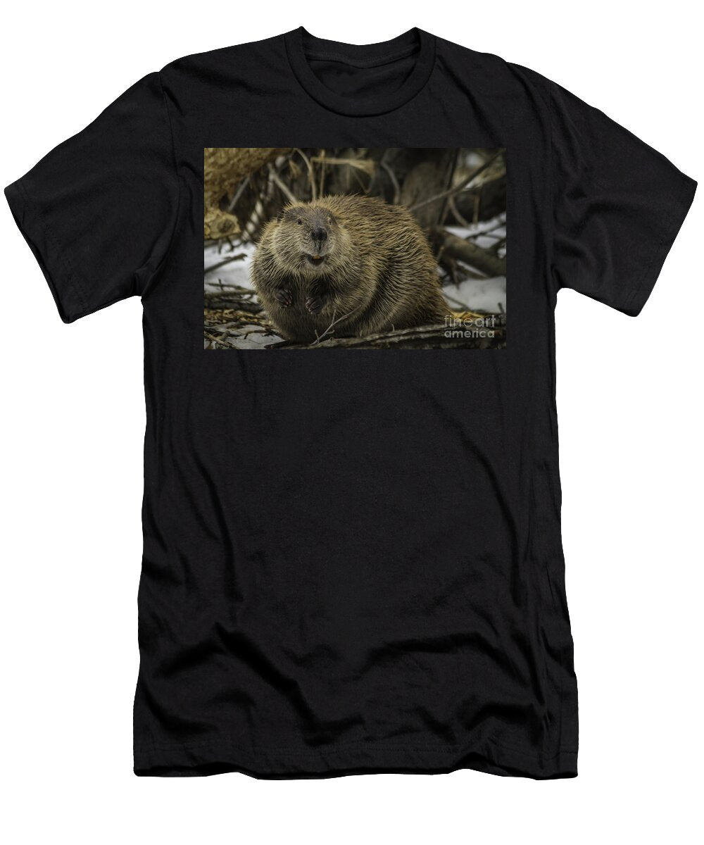 What Does the Beaver Say Mitch Shindelbower T-Shirt